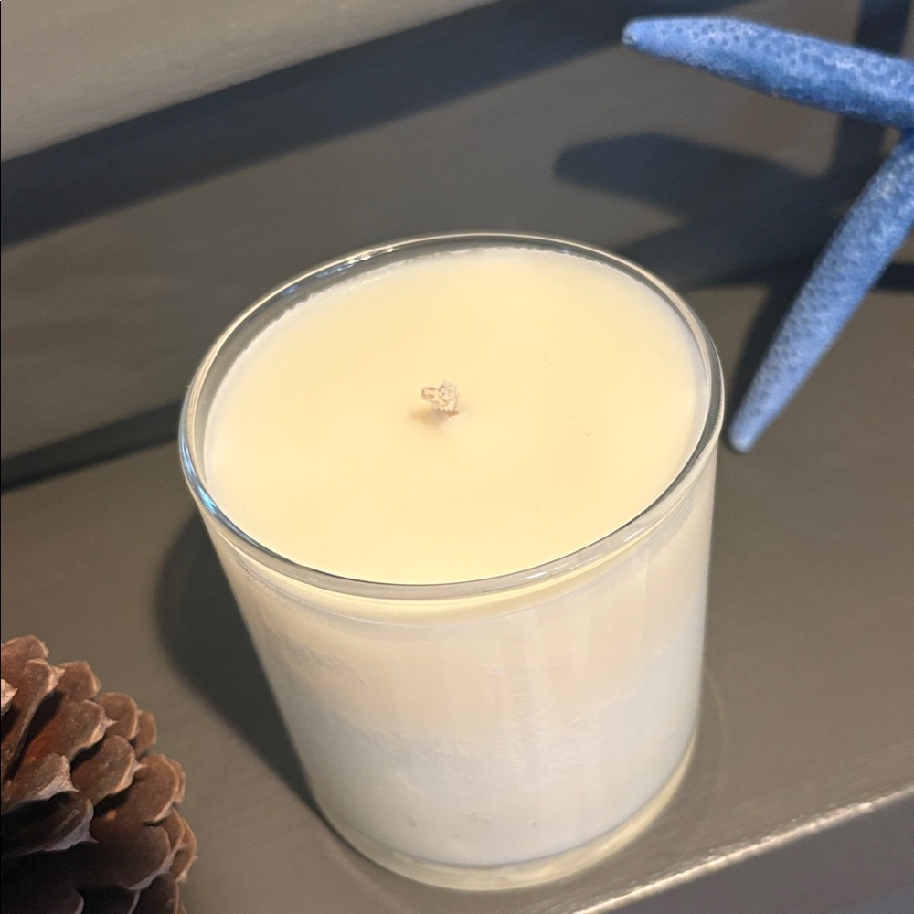 Basil Plant the Box Soy Candle 9 oz - Picture 11 of 13